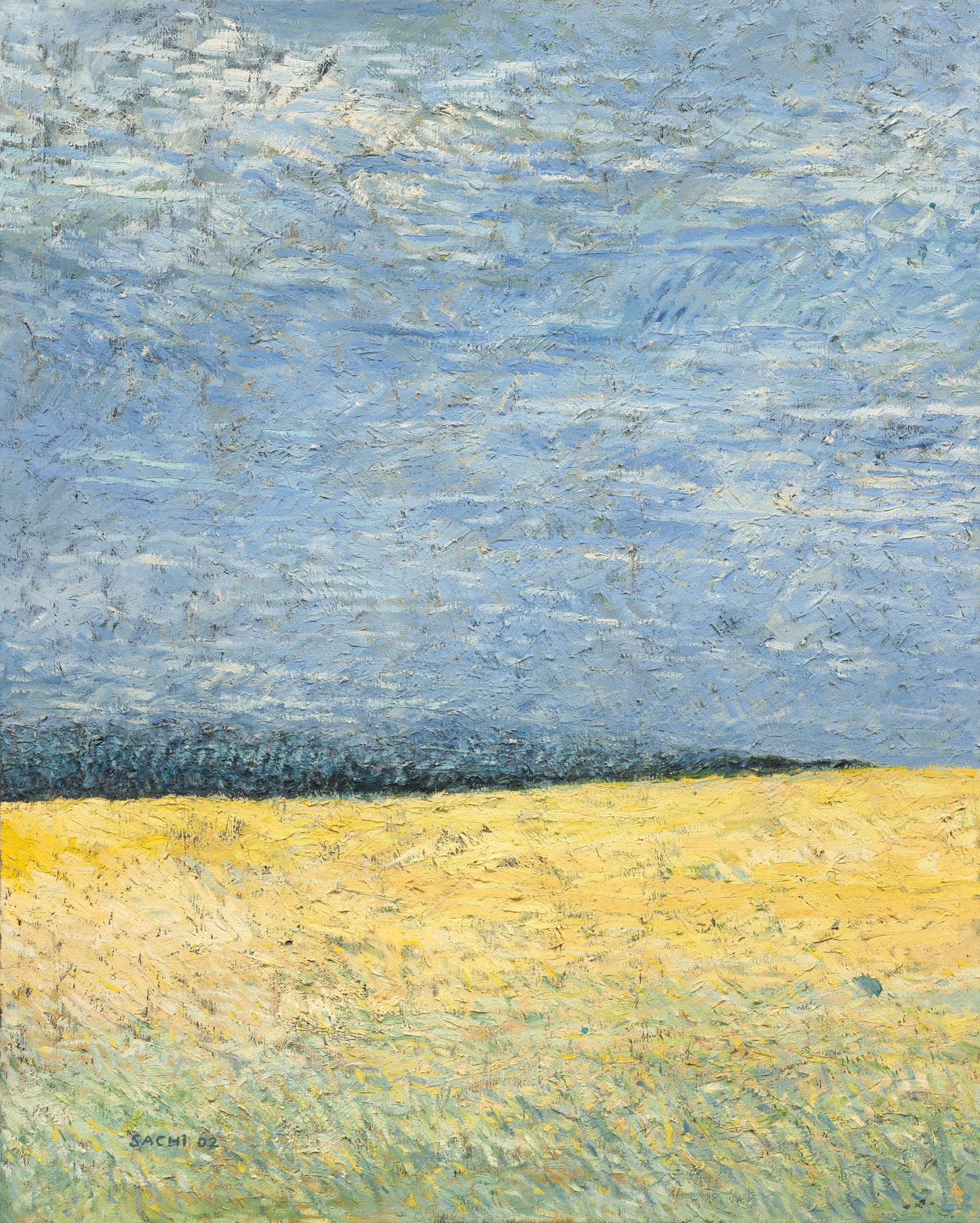 Field Beneath the Blue Sky