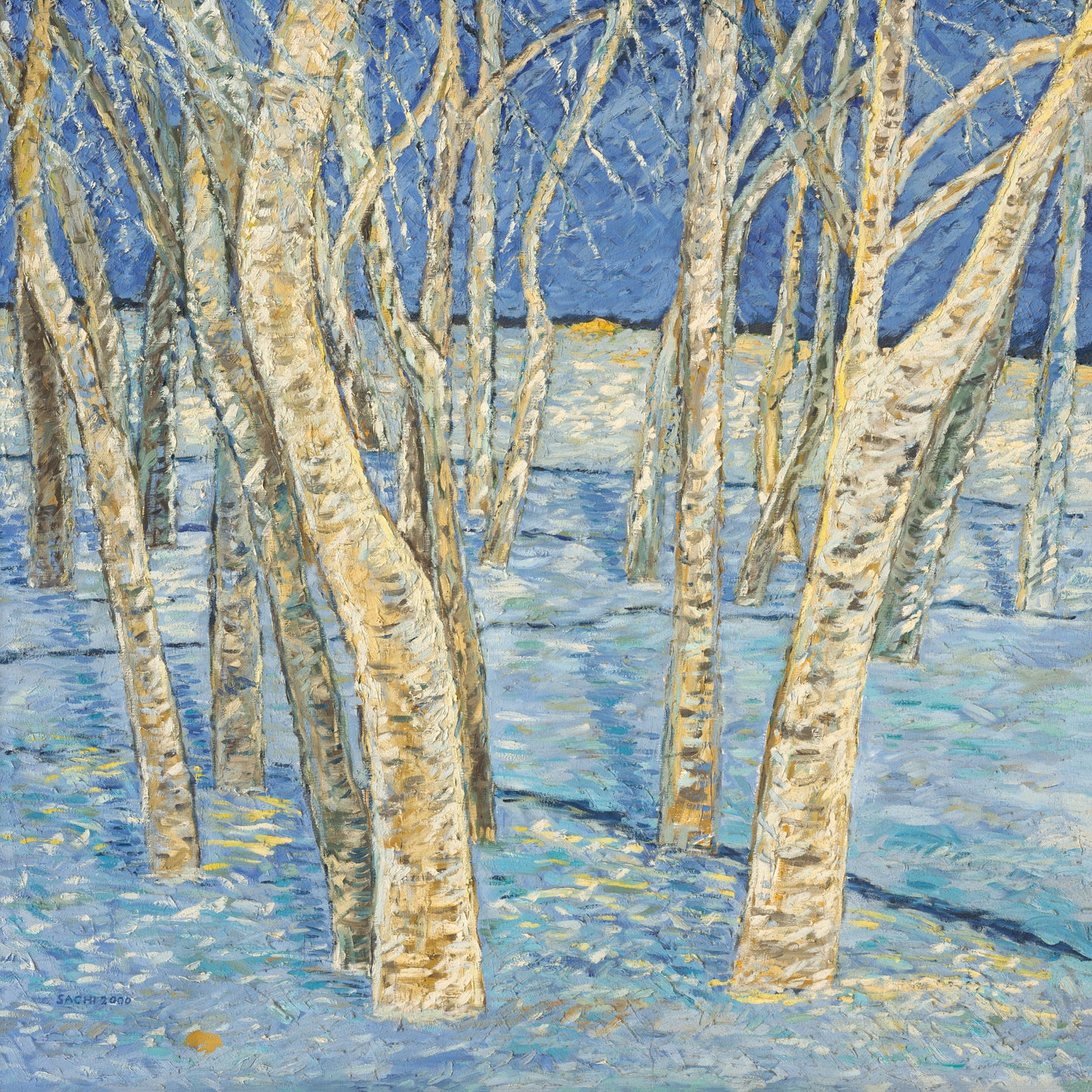 Birch Forest in Blue-White Light