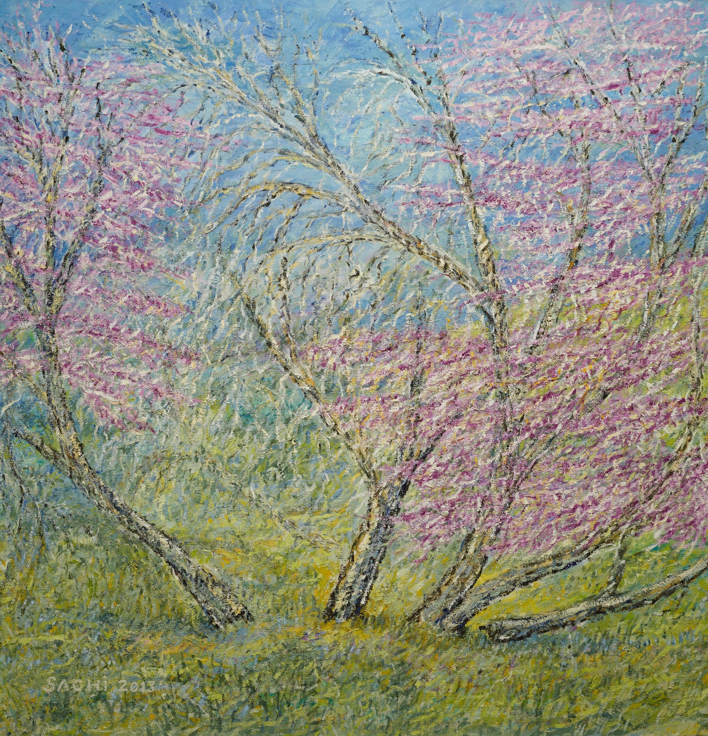 Blooming at Afek reserve