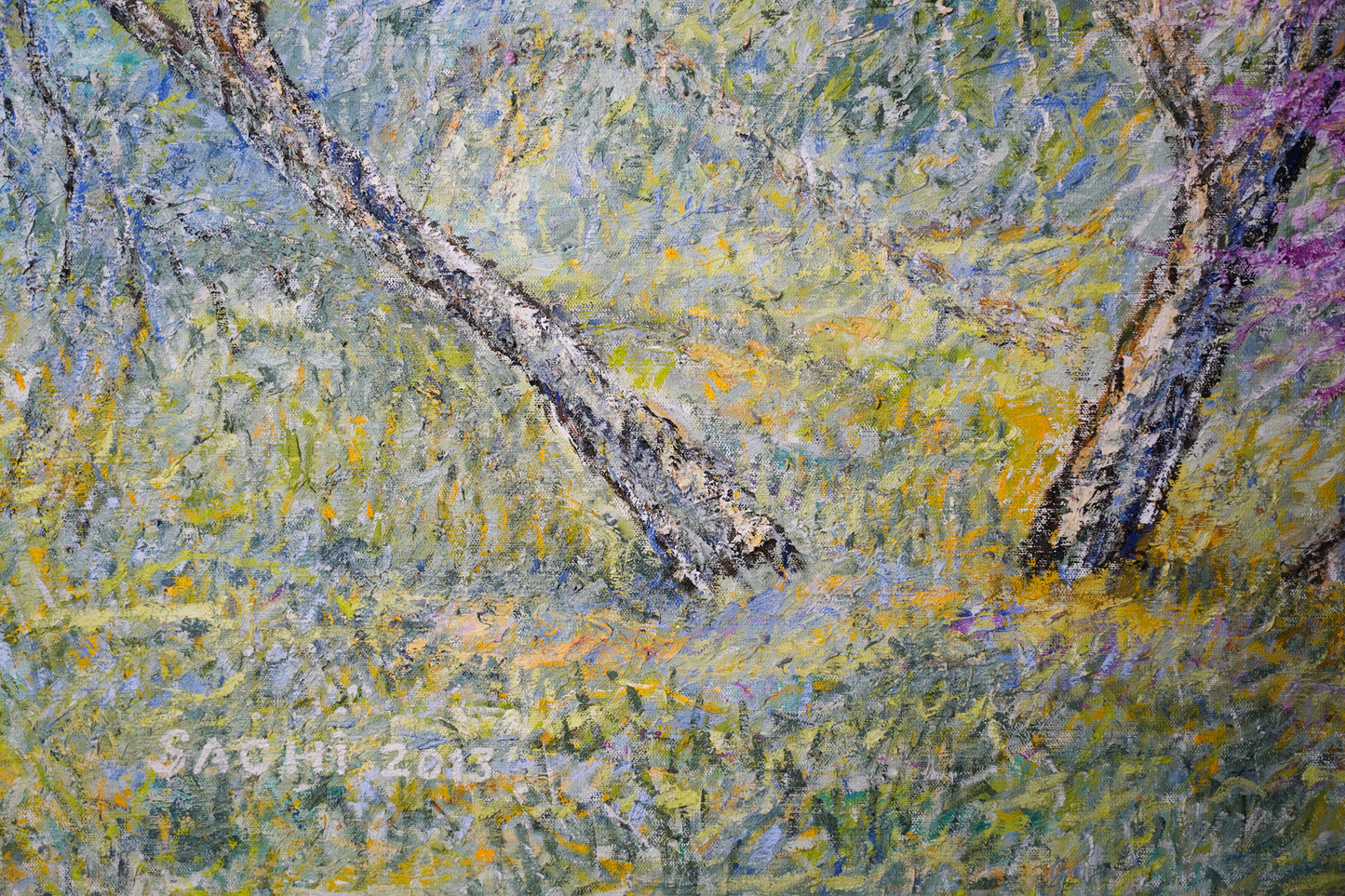 Blooming at Afek reserve