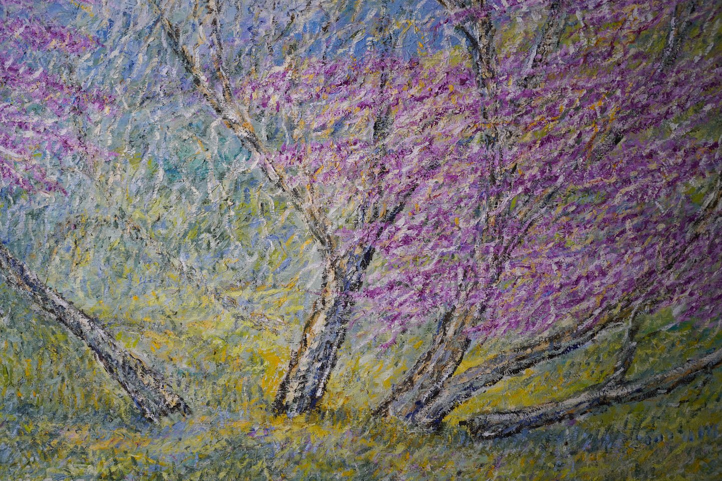 Blooming at Afek reserve