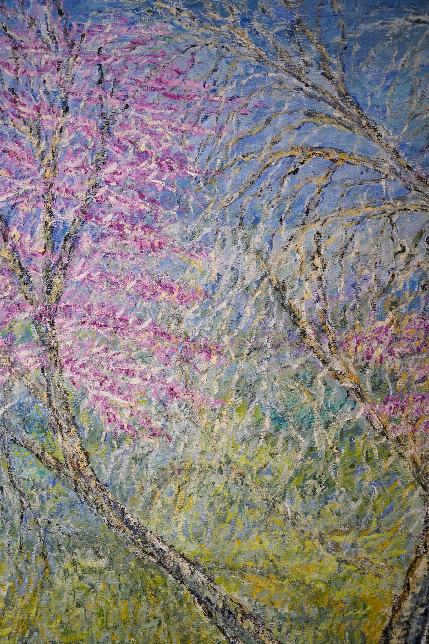 Blooming at Afek reserve