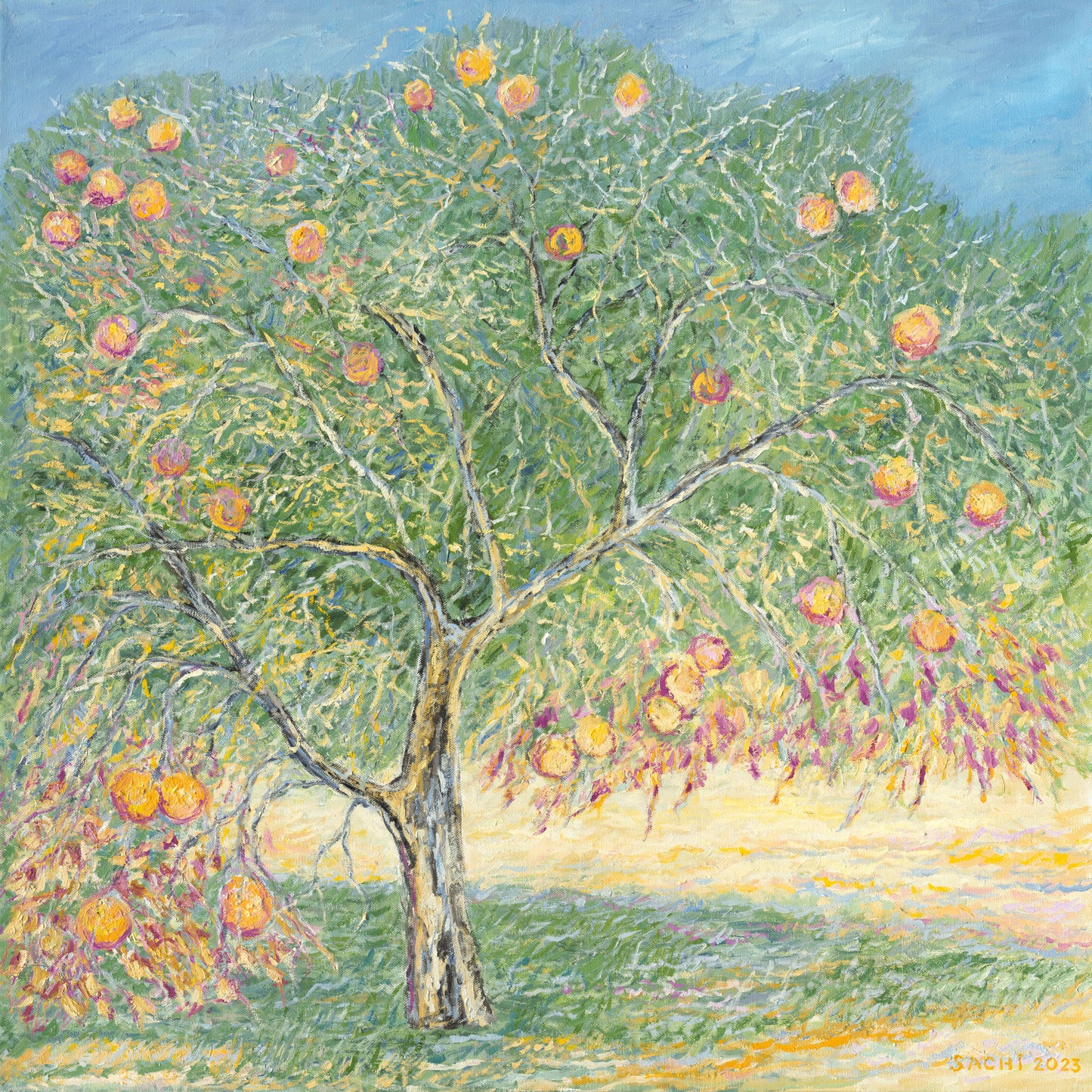 Pomegranate Tree in Full Season