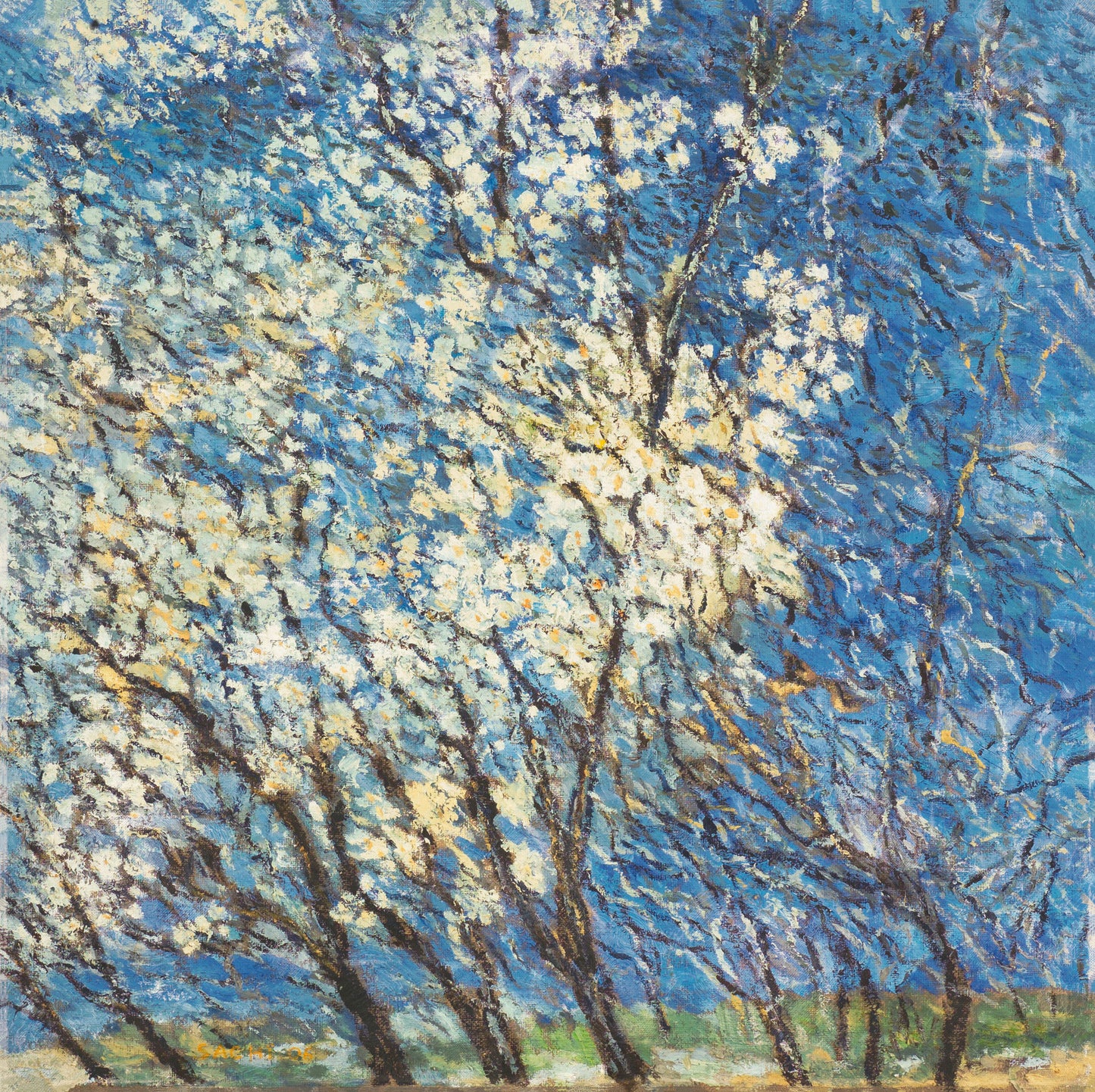 Whispers of Blossom