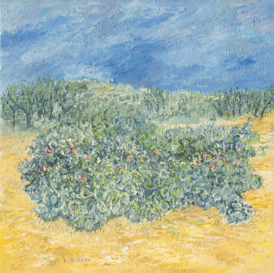 Coastal Shrubs