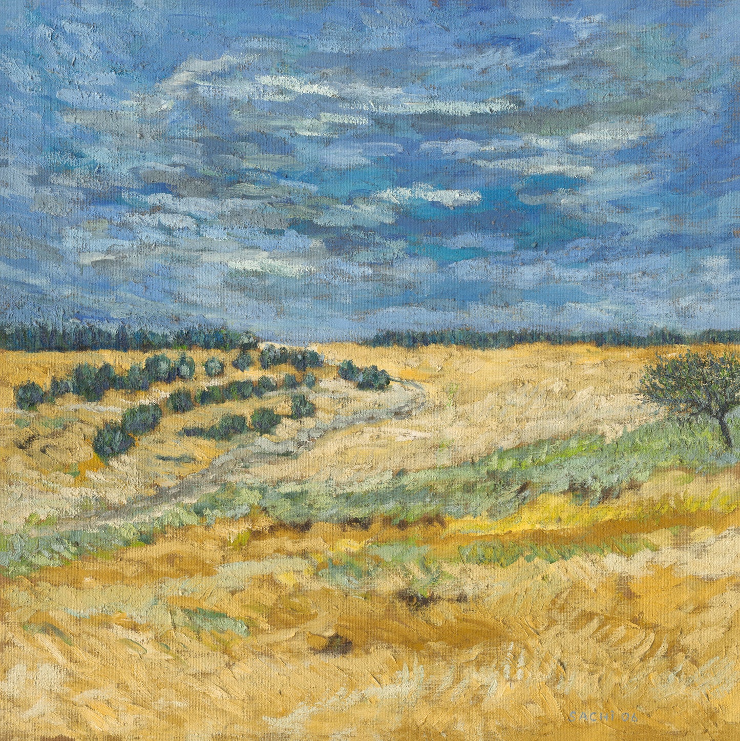 Restless Sky over the Fields