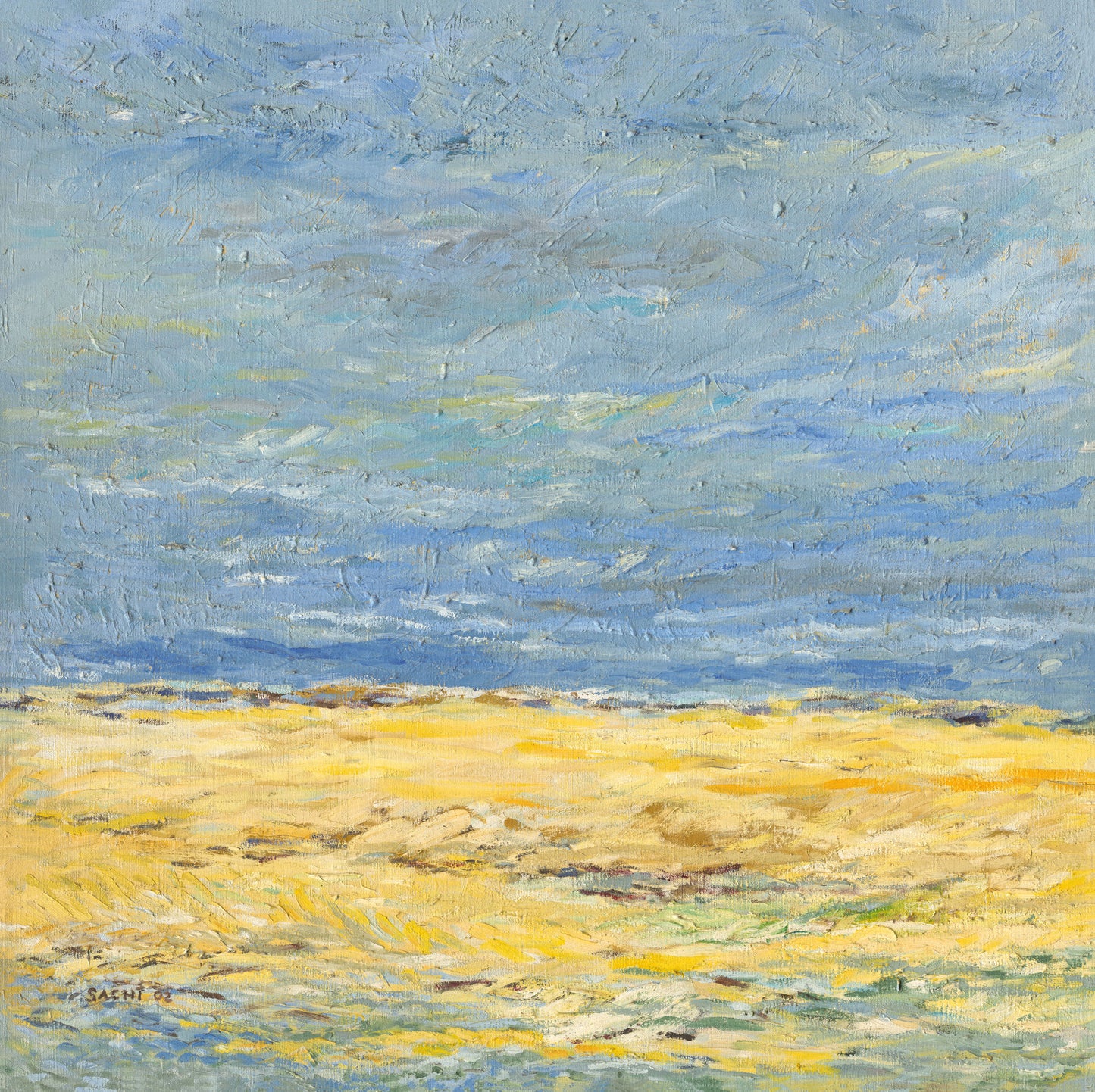 Clouds over Pale Fields