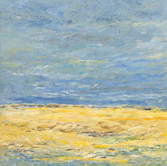 Clouds over Pale Fields