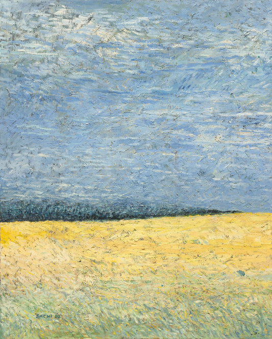 Field Beneath the Blue Sky