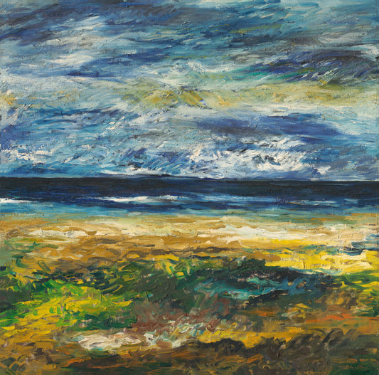 stormy Shore Beneath Shifting Skies